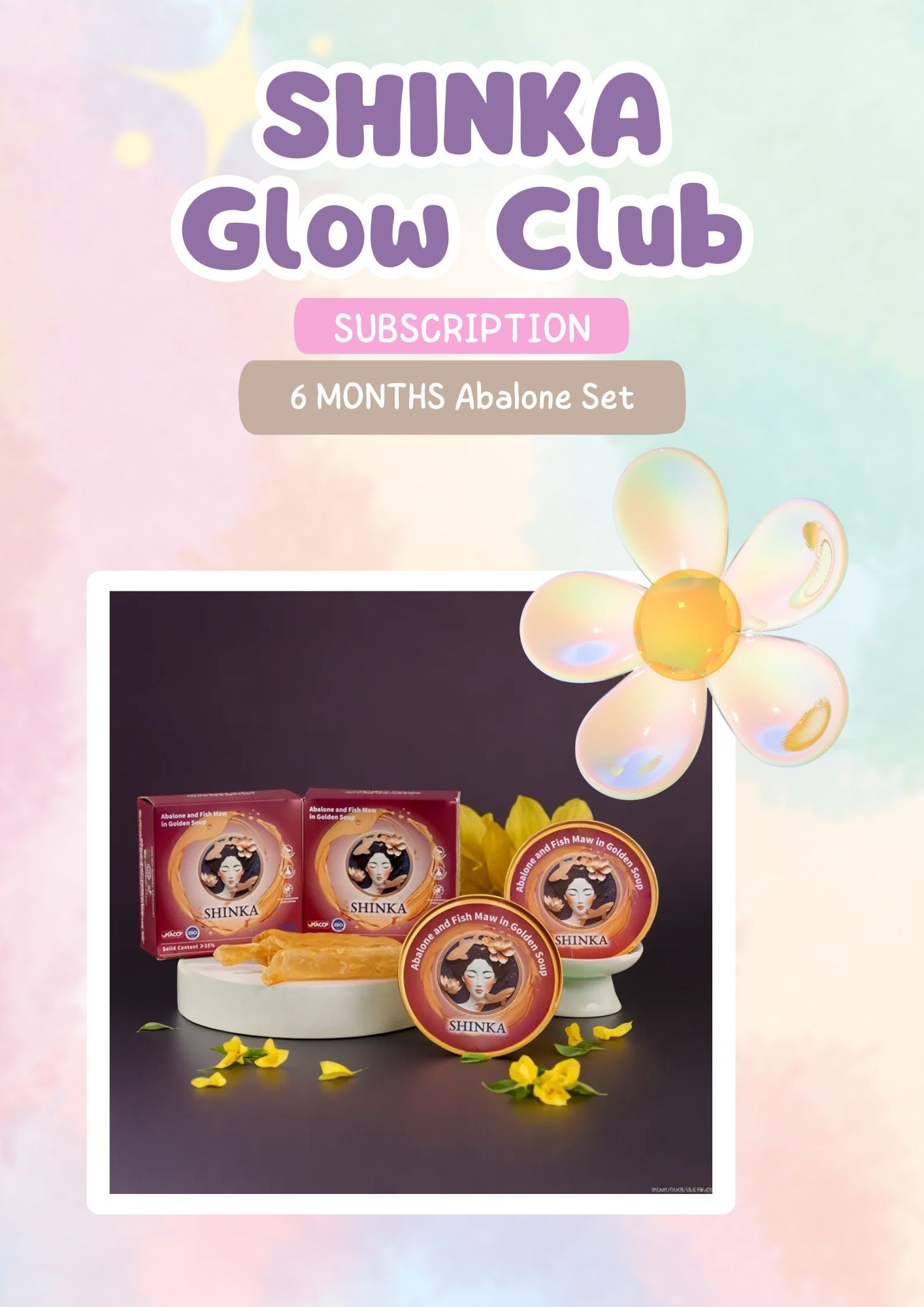Abalone Set 6 MONTHS Subscription